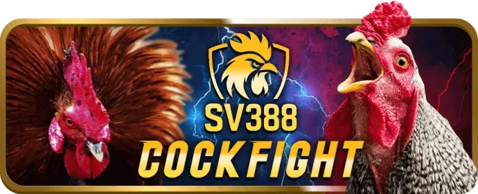 Banner khuyến mãi chào mừng thành viên mới cá cược thể thao hitclub1